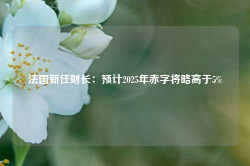 法国新任财长：预计2025年赤字将略高于5%