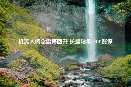 机器人概念震荡回升 长盛轴承20CM涨停