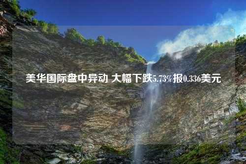 美华国际盘中异动 大幅下跌5.73%报0.336美元