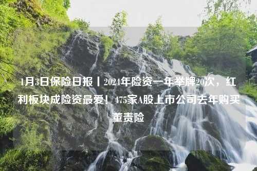 1月3日保险日报丨2024年险资一年举牌20次，红利板块成险资最爱！475家A股上市公司去年购买董责险