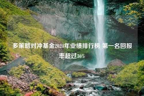 多策略对冲基金2024年业绩排行榜 第一名回报率超过36%