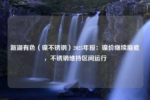 新湖有色（镍不锈钢）2025年报：镍价继续磨底，不锈钢维持区间运行