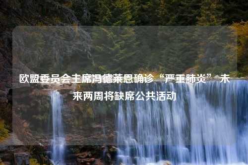 欧盟委员会主席冯德莱恩确诊“严重肺炎” 未来两周将缺席公共活动