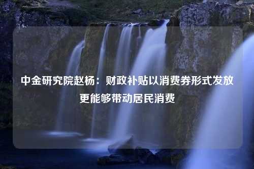 中金研究院赵杨：财政补贴以消费券形式发放更能够带动居民消费