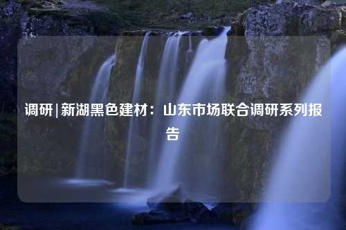 调研|新湖黑色建材：山东市场联合调研系列报告