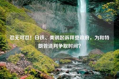 忍无可忍！日铁、美钢起诉拜登政府，为和特朗普谈判争取时间？