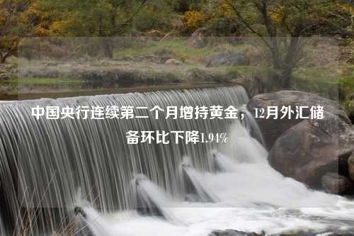 中国央行连续第二个月增持黄金，12月外汇储备环比下降1.94%