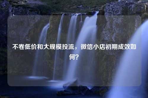 不卷低价和大规模投流，微信小店初期成效如何？