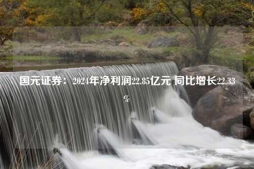 国元证券：2024年净利润22.85亿元 同比增长22.33%