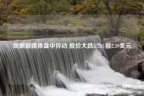 凤凰新媒体盘中异动 股价大跌5.53%报2.39美元