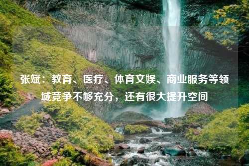 张斌：教育、医疗、体育文娱、商业服务等领域竞争不够充分，还有很大提升空间