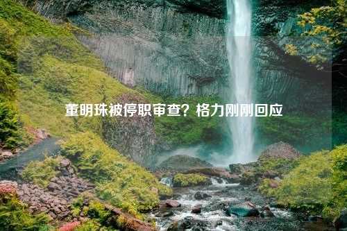 董明珠被停职审查？格力刚刚回应