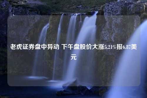 老虎证券盘中异动 下午盘股价大涨5.21%报6.87美元