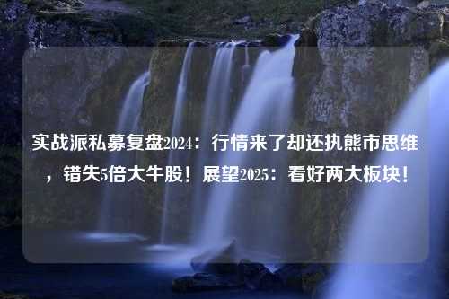 实战派私募复盘2024：行情来了却还执熊市思维，错失5倍大牛股！展望2025：看好两大板块！