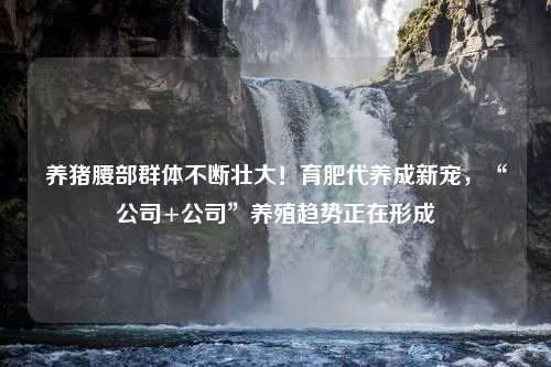 养猪腰部群体不断壮大！育肥代养成新宠，“公司+公司”养殖趋势正在形成