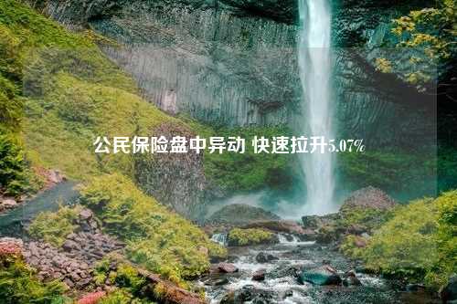 公民保险盘中异动 快速拉升5.07%