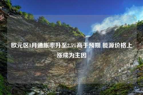 欧元区1月通胀率升至2.5%高于预期 能源价格上涨成为主因