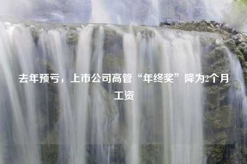 去年预亏，上市公司高管“年终奖”降为2个月工资