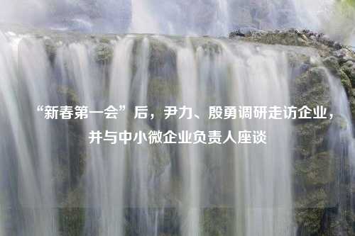 “新春第一会”后，尹力、殷勇调研走访企业，并与中小微企业负责人座谈