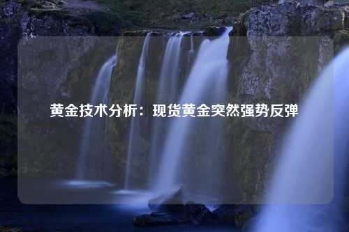 黄金技术分析：现货黄金突然强势反弹