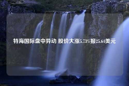 特海国际盘中异动 股价大涨5.73%报25.64美元