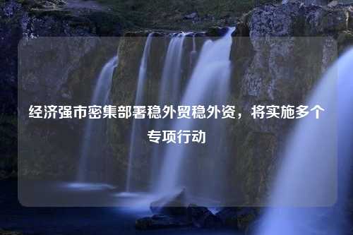 经济强市密集部署稳外贸稳外资，将实施多个专项行动