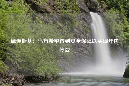 泽连斯基：乌方希望得到安全保障以实现年内停战