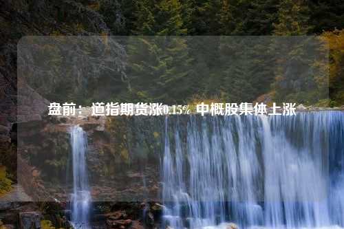 盘前：道指期货涨0.15% 中概股集体上涨