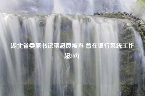 湖北省委原书记蒋超良被查 曾在银行系统工作超30年