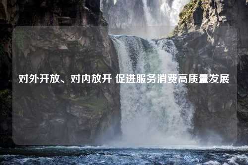 对外开放、对内放开 促进服务消费高质量发展